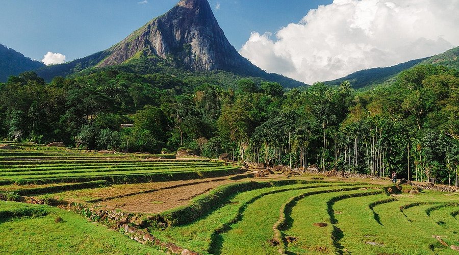 if-you-want-to-recreate (4)